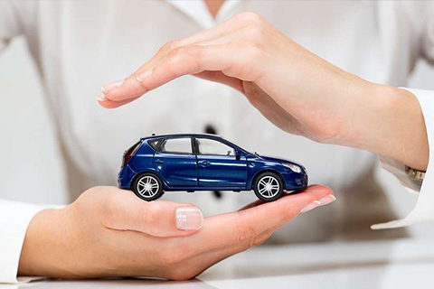 Holding A Model Car For Painting 
